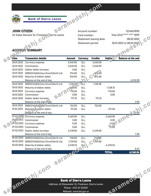 Sierra Leone Bank of Sierra Leone bank statement xls